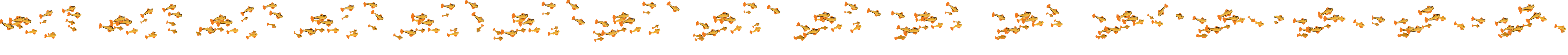 School of fish